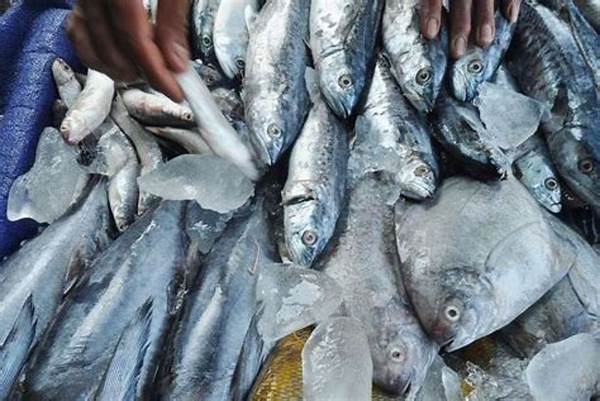 Kampanye Ikan Lokal