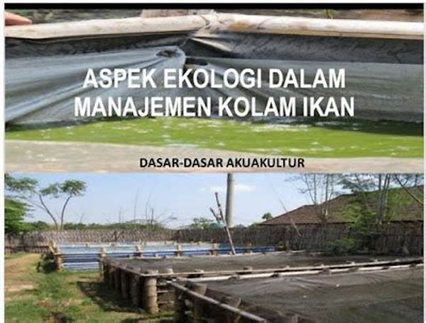 Manajemen Kolam Ikan