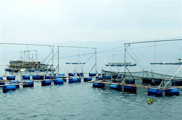 Industri Perikanan Masa Depan