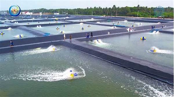 Teknologi Tambak Udang