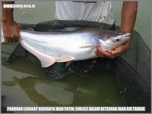 Budidaya Ikan Patin