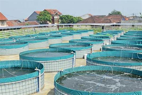 Teknologi Kolam Ikan