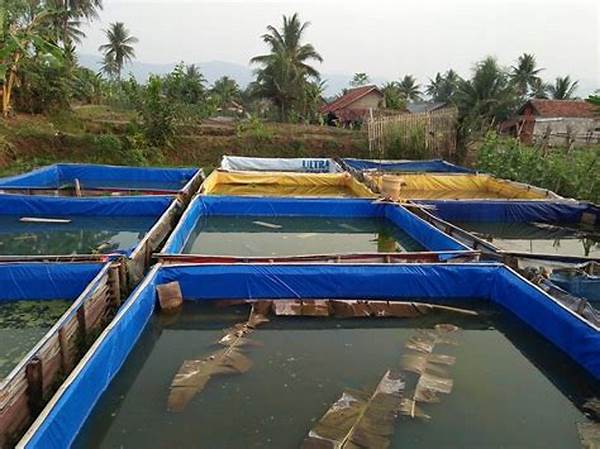 Cara Budidaya Ikan Gurame