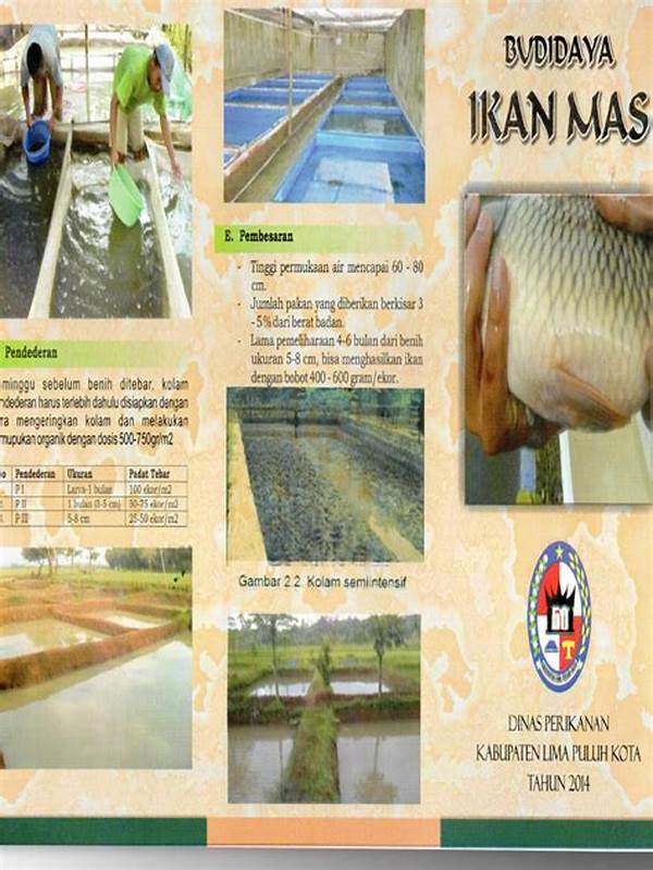 Teknik Budidaya Ikan Mas