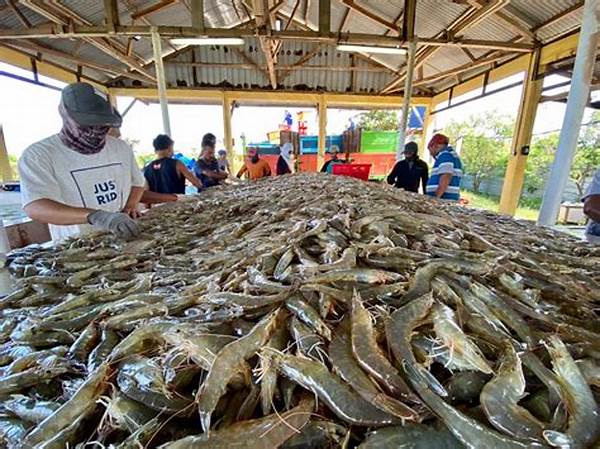 Usaha Tambak Udang